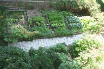 backyard-vegetable-garden-81