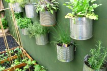 container-garden-design-ideas-71