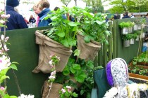 container-herb-garden-design-91