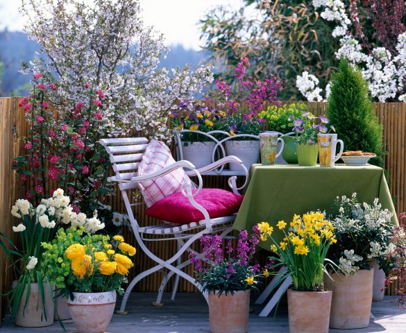 garden-deck-ideas-8