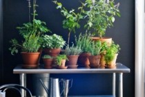 indoor-herb-garden-design-71