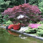japanese-garden-decor-7