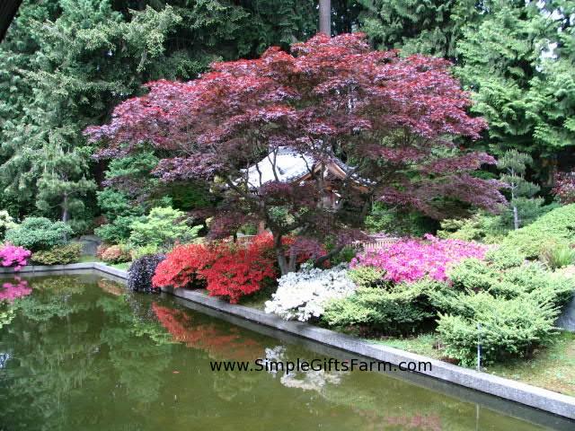 japanese-garden-decor-7