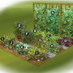planning-your-garden-8