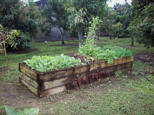 raised-garden-design-ideas-4