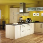 ideas-for-painting-kitchen-walls-9